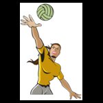 VOLLEY  PLAYER04 V RQ