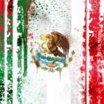 678846  mexican flag paint p